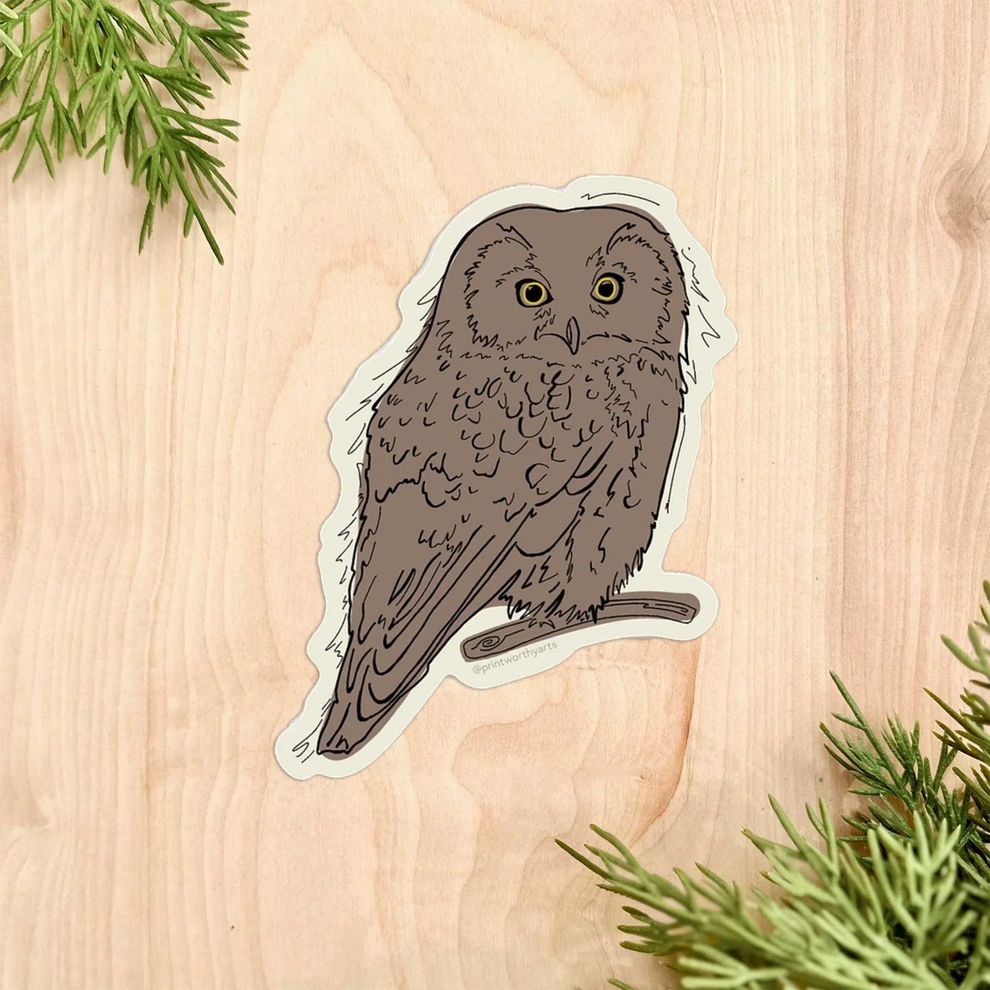 Little Boreal Owl Sticker by Printworthy