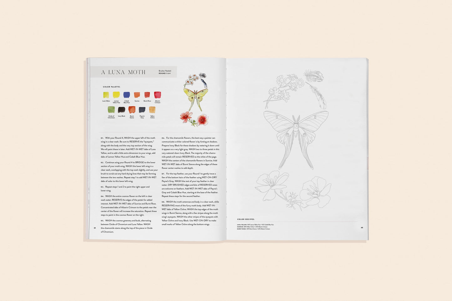 Watercolor Workbook: Flowers, Feathers, and Animal Friends