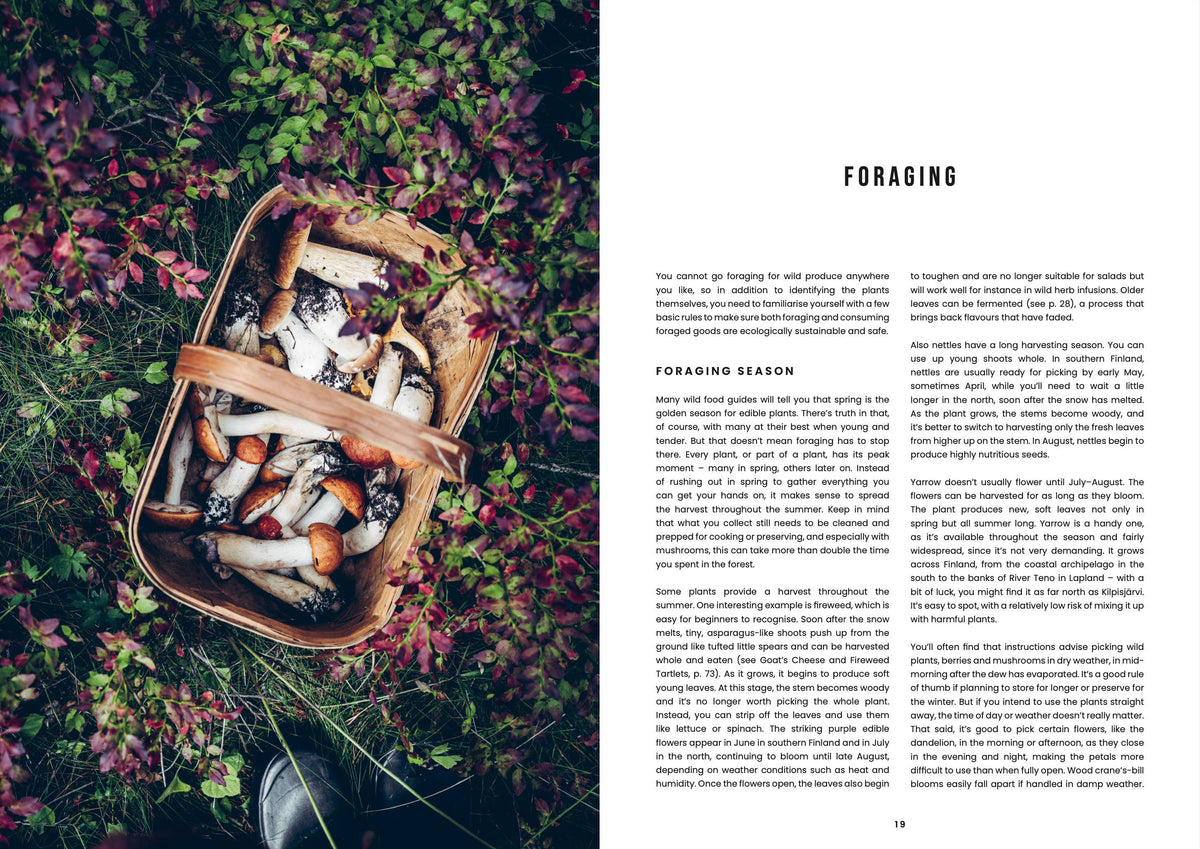 Food in the Wild: Recipes for Foraged Berries, Mushrooms & Herbs