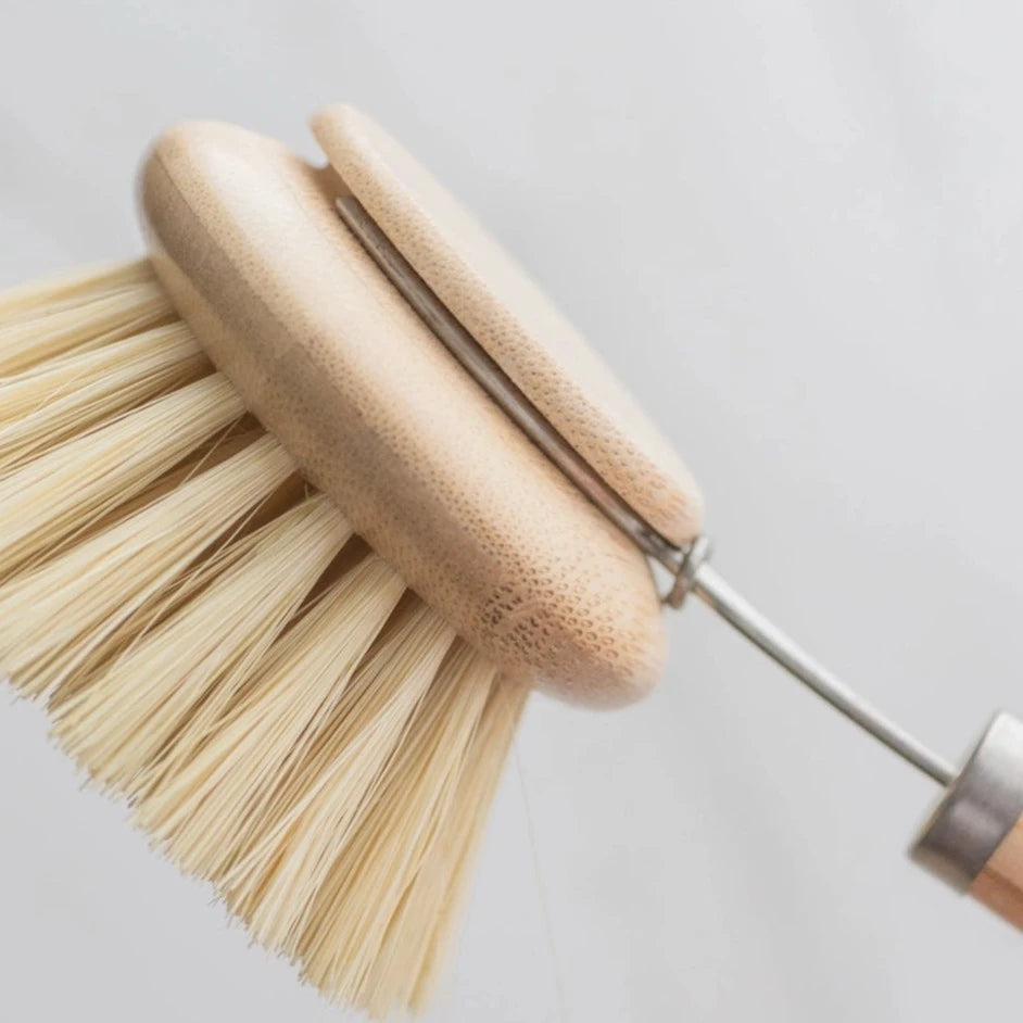 Replacement Brush Head by No Tox Life