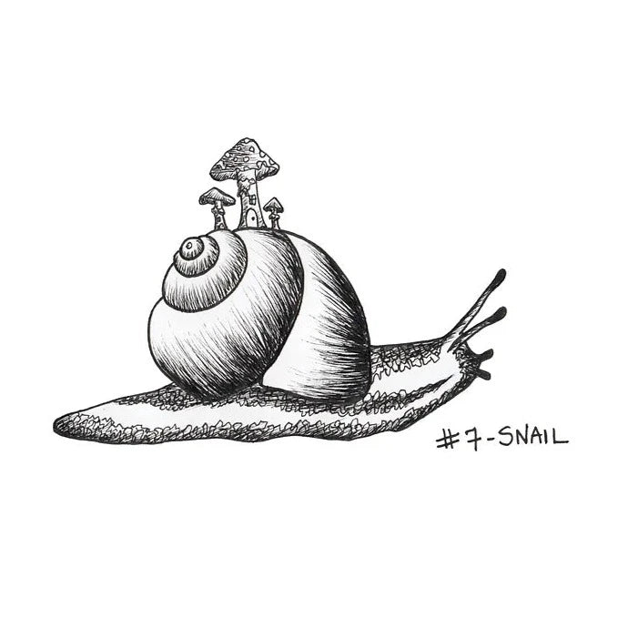 Snail Periwinkle Shroom 5x7 Print by Brittany Montour