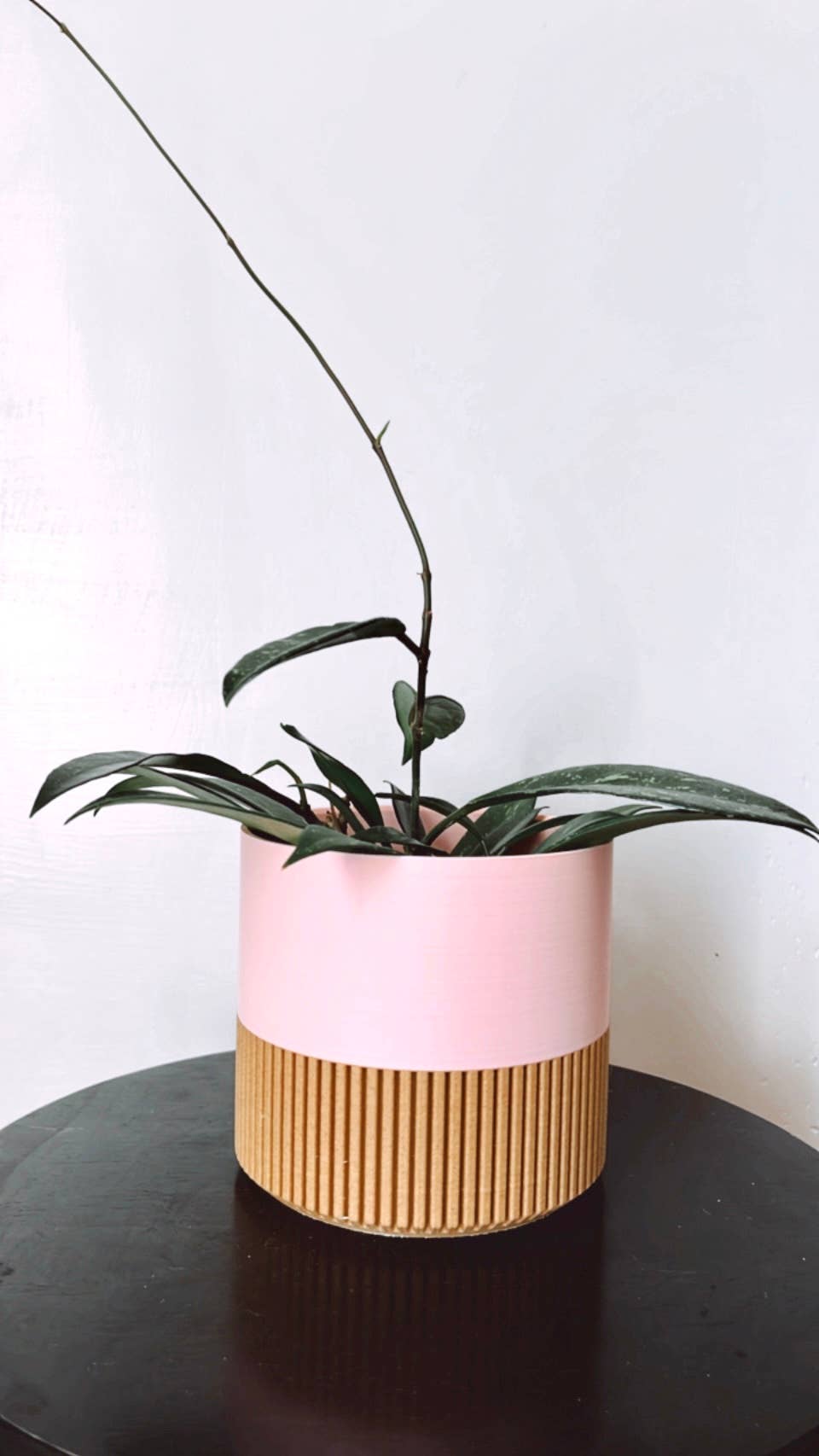Modern Slat Planter | Medium by Prairie City Printing Co.