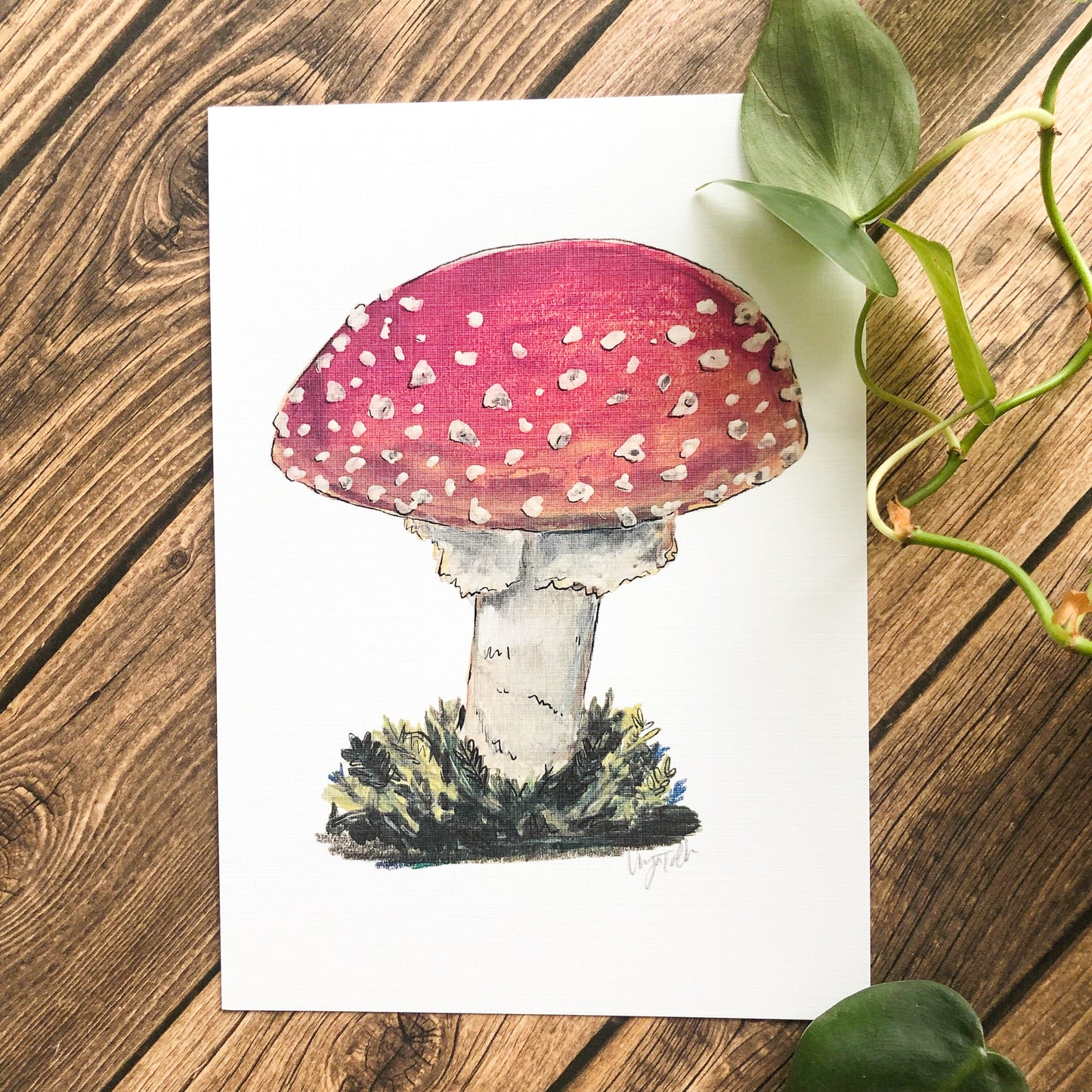 One Amanita 8x10 Print by Anya Toelle