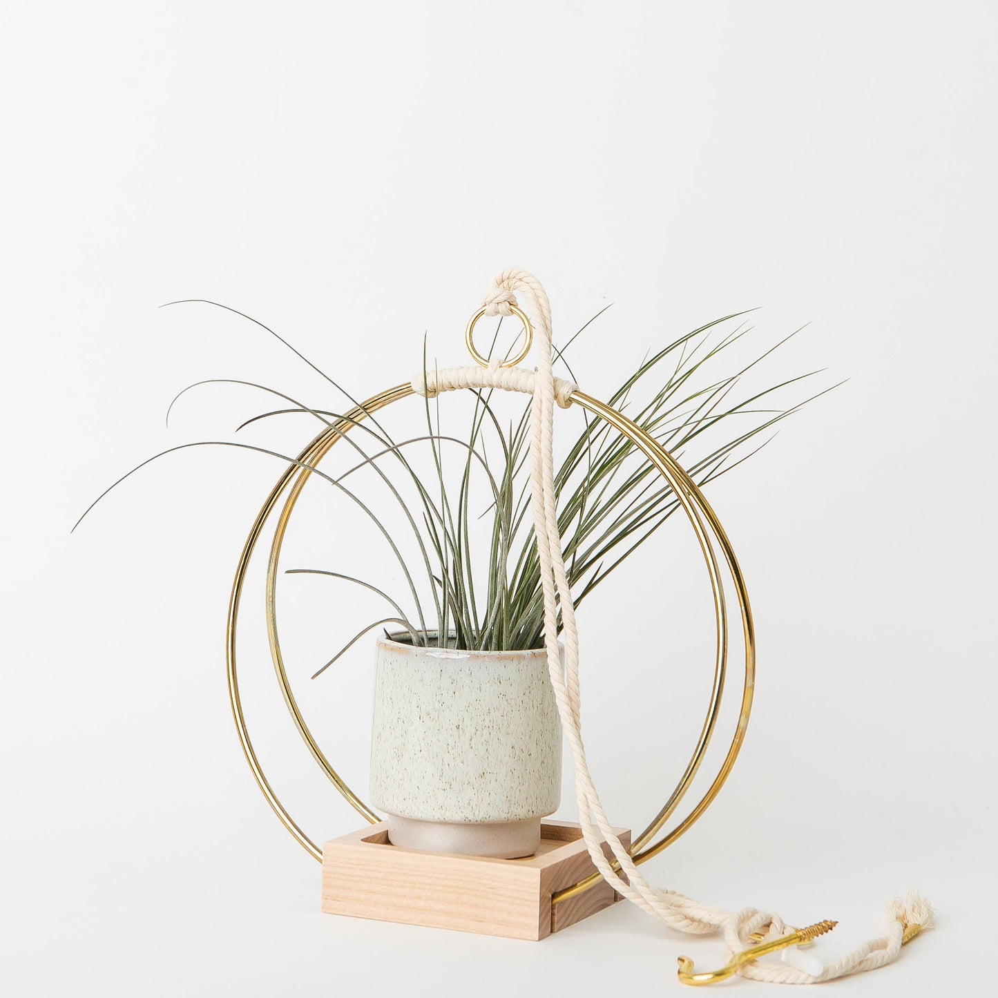 Gold Hanging Planter by Braid & Wood