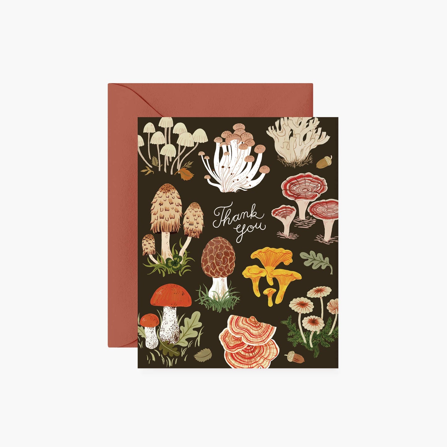 Mushrooms Thank You card by Botanica Paper Co.