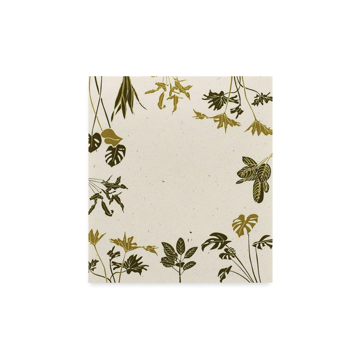 Rainforest Plants Mini Notes by June & December