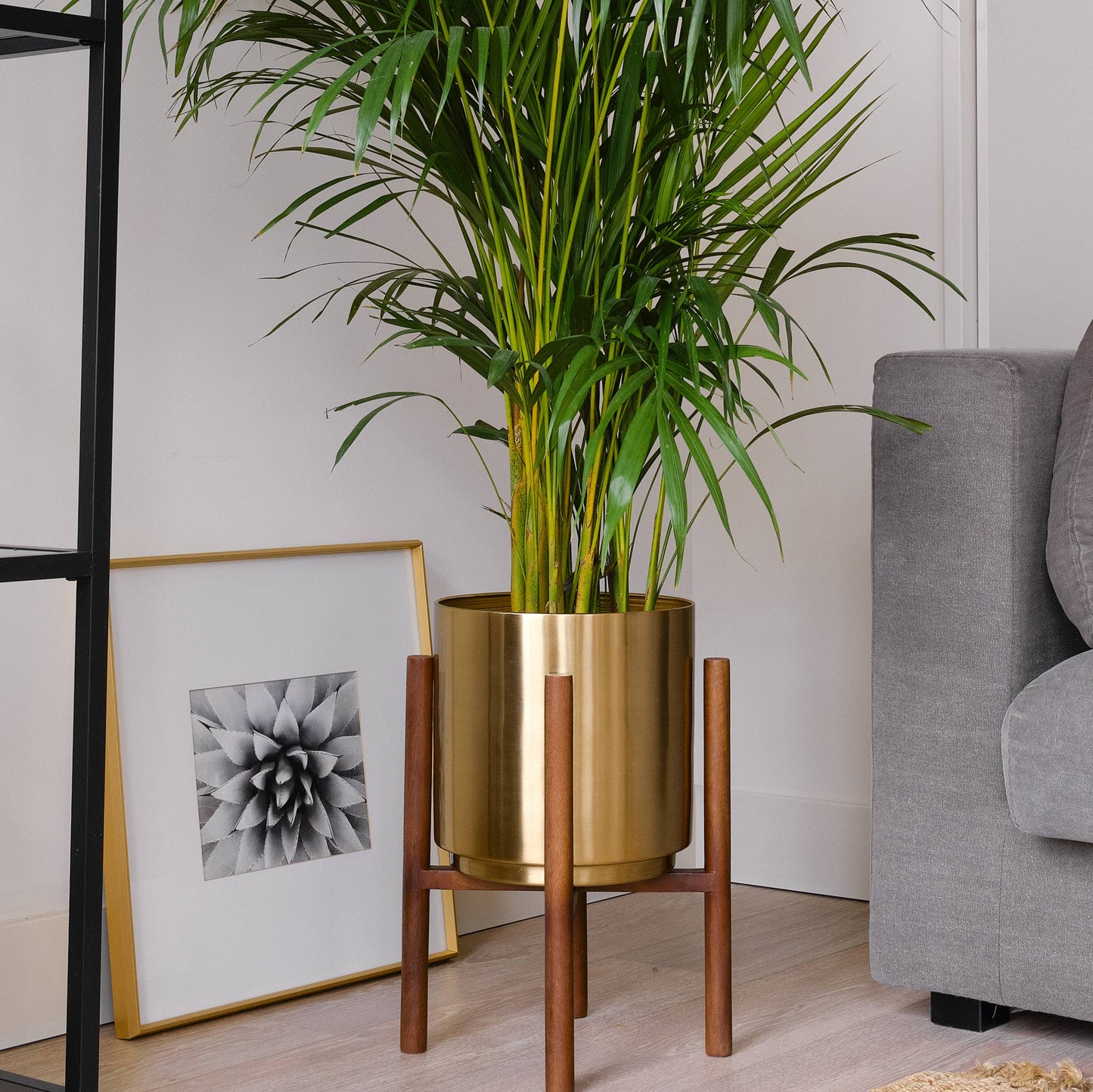10 Inch Brushed Brass Planter with Wood Stand