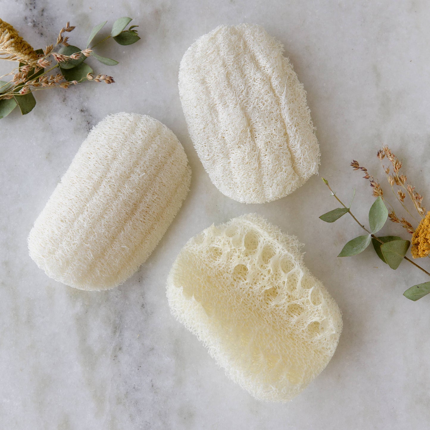 Compostable Eco Dish Sponge 3-Pack by Earth Ahead