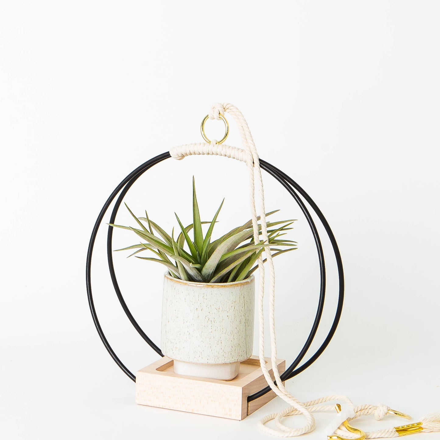 Plant Hanger Black + Wood Shelf by Braid & Wood
