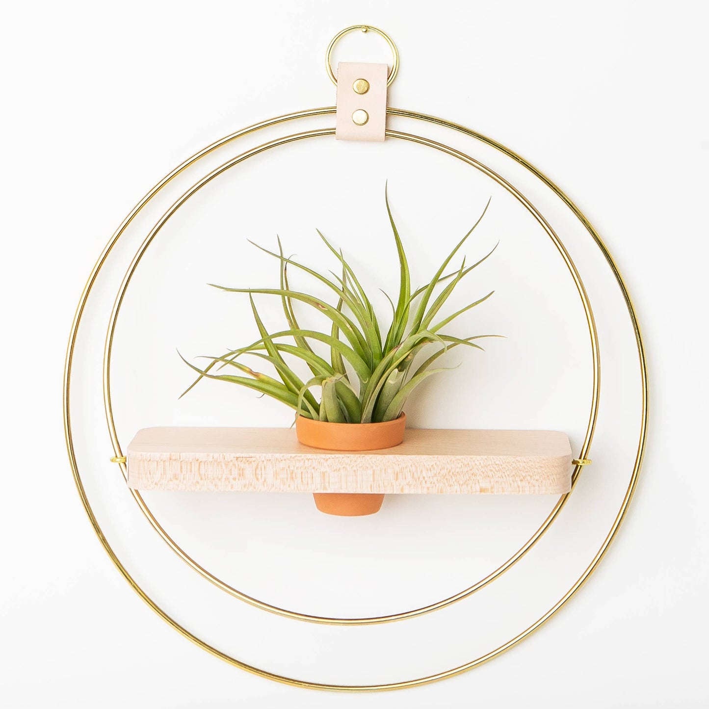 Gold Plant Shelf + Mini Pot by Braid & Wood