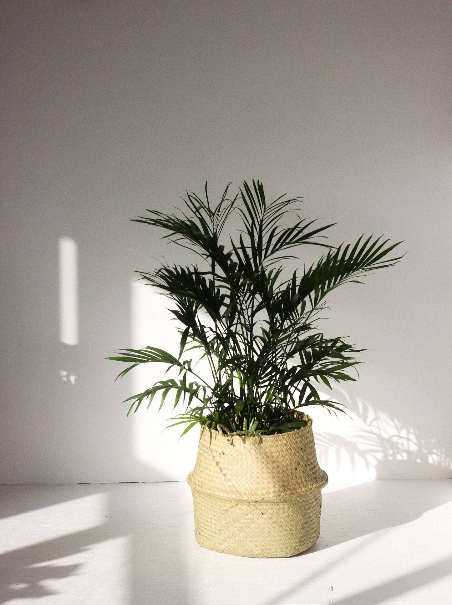 Woven Seagrass Belly Basket Planter