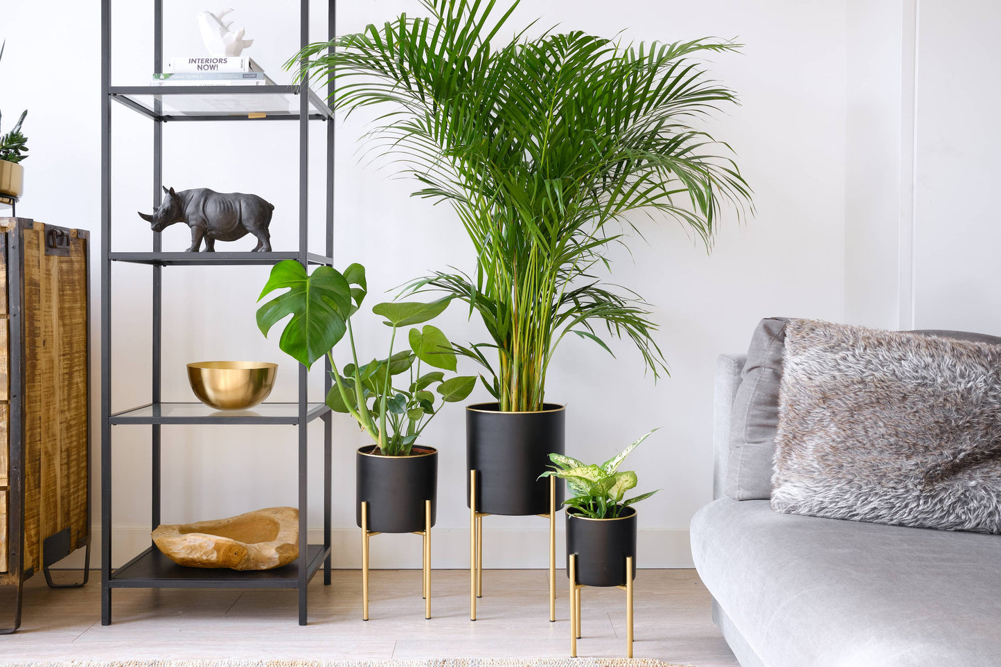 Black + Gold Pot with Gold Stand