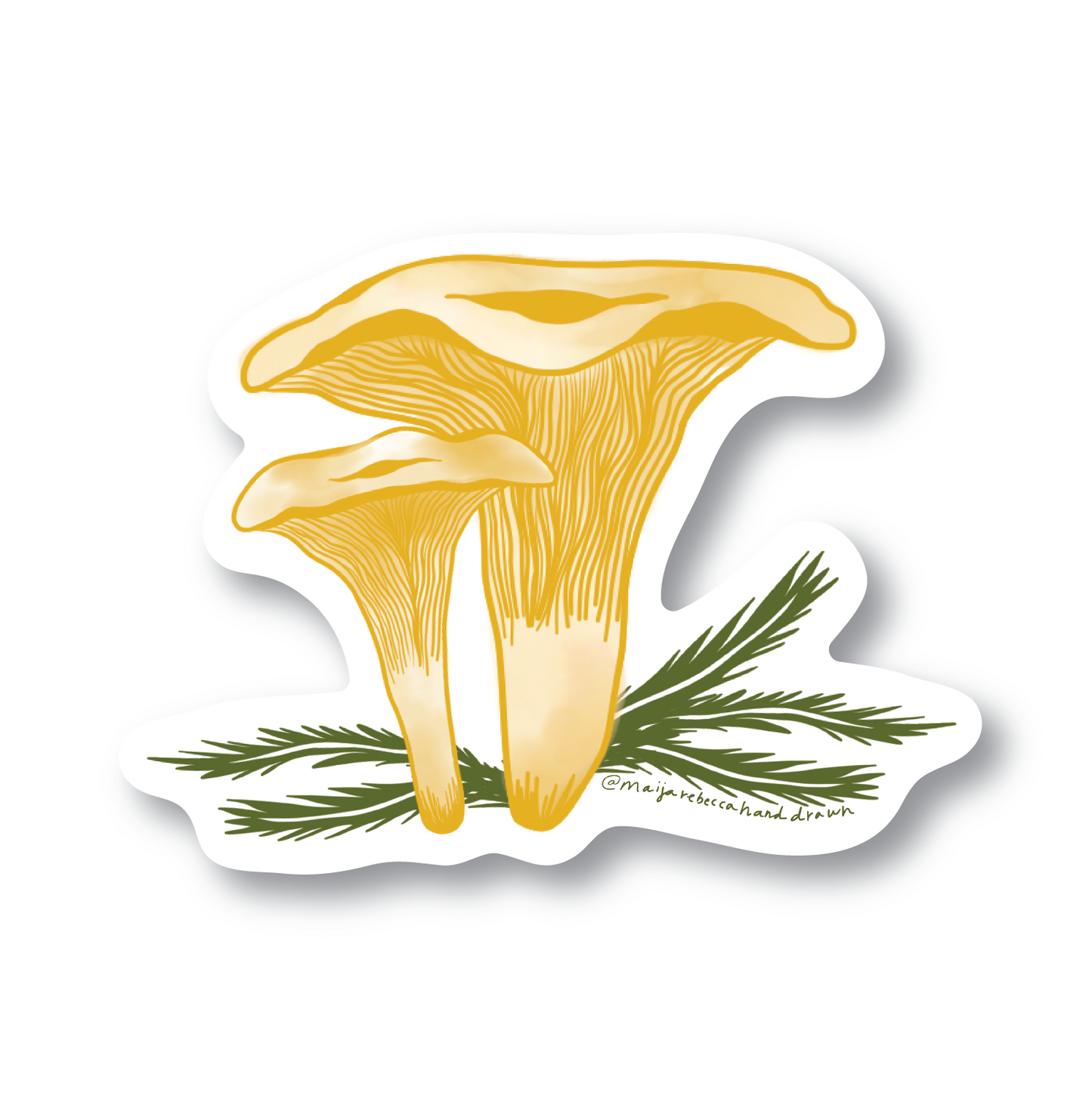 Chanterelle Mushroom Sticker by Maija Rebecca Hand Drawn