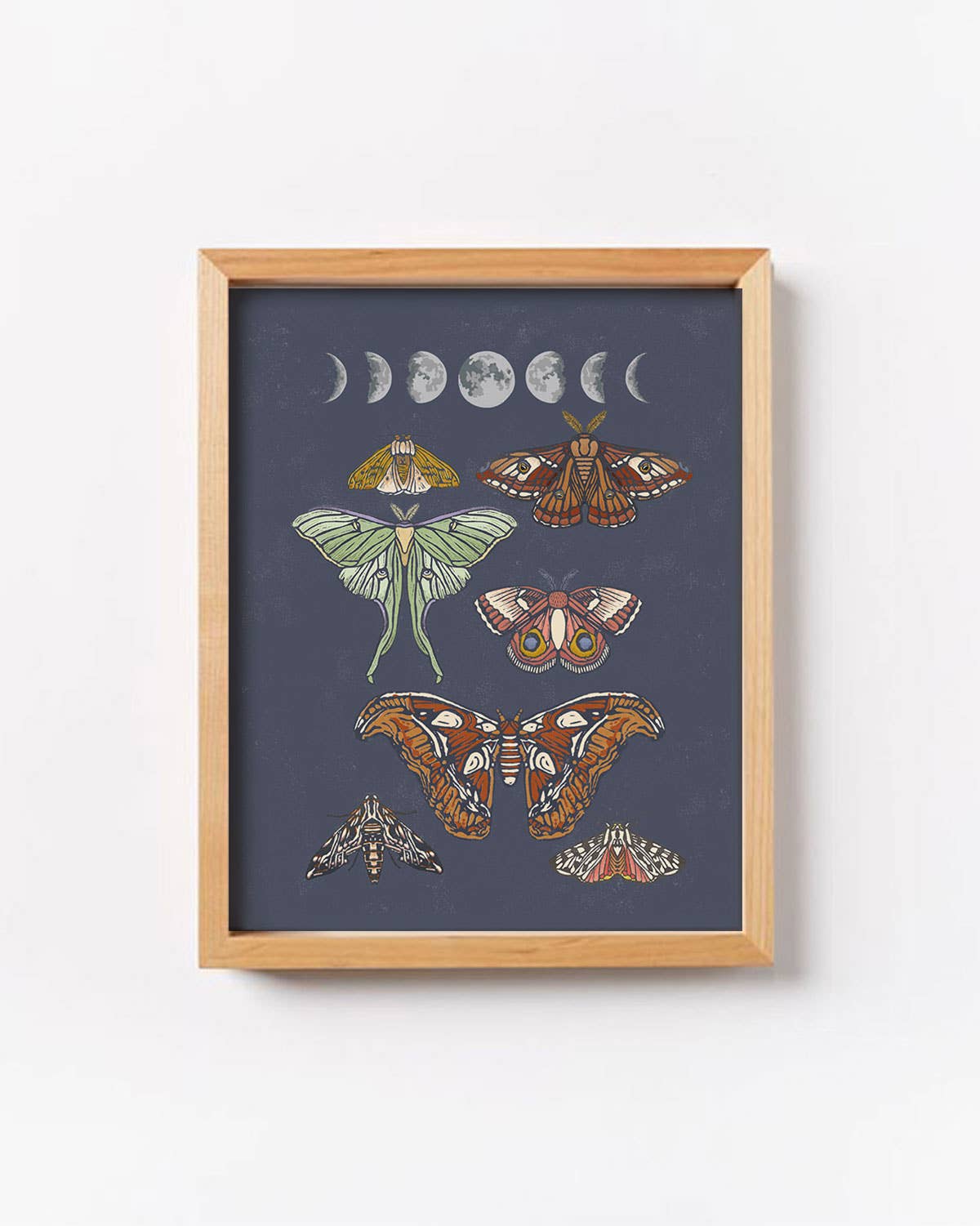 Moonlit Moths 8x10 Print by Root & Branch Paper Co.