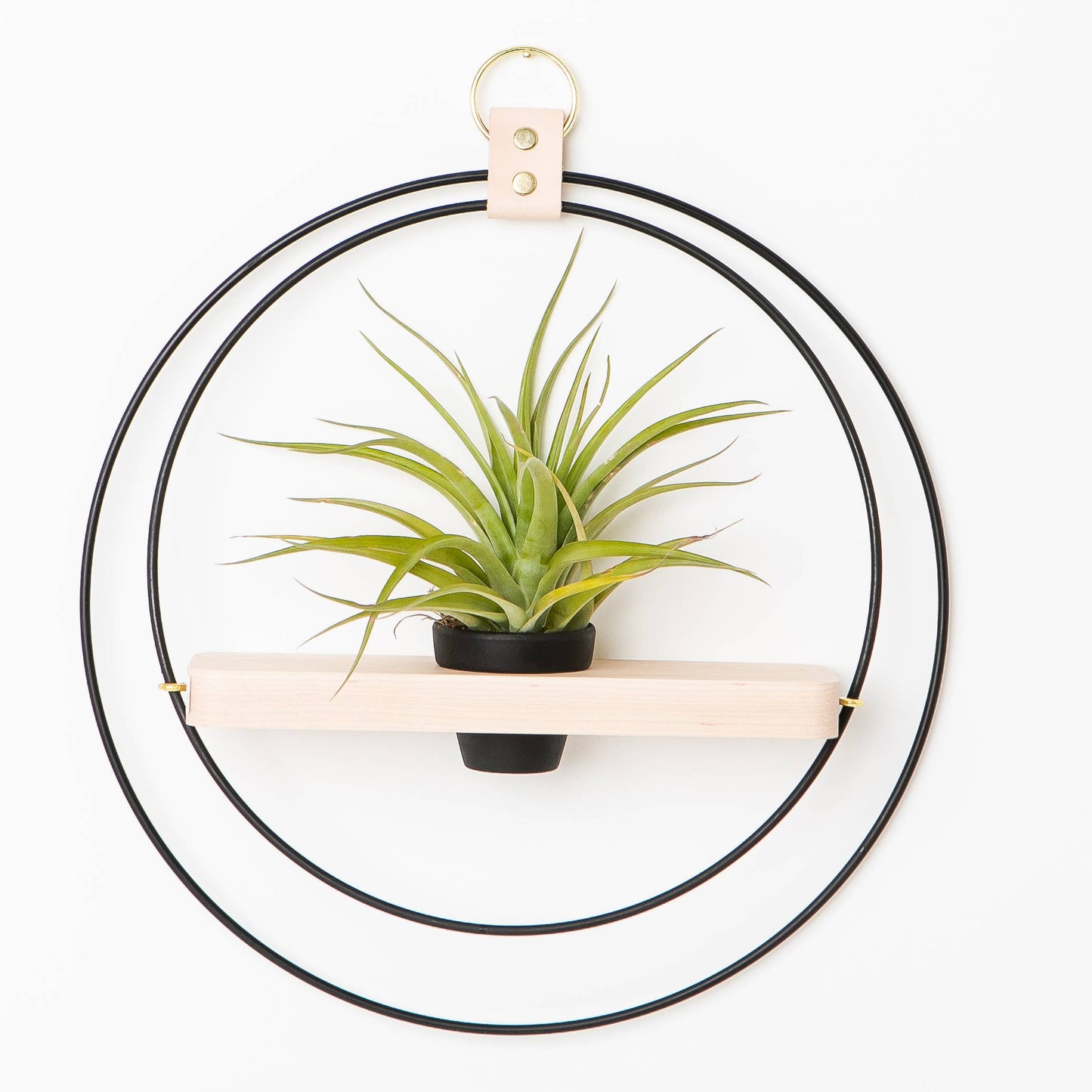 Black Plant Shelf + Mini Pot by Braid & Wood Design