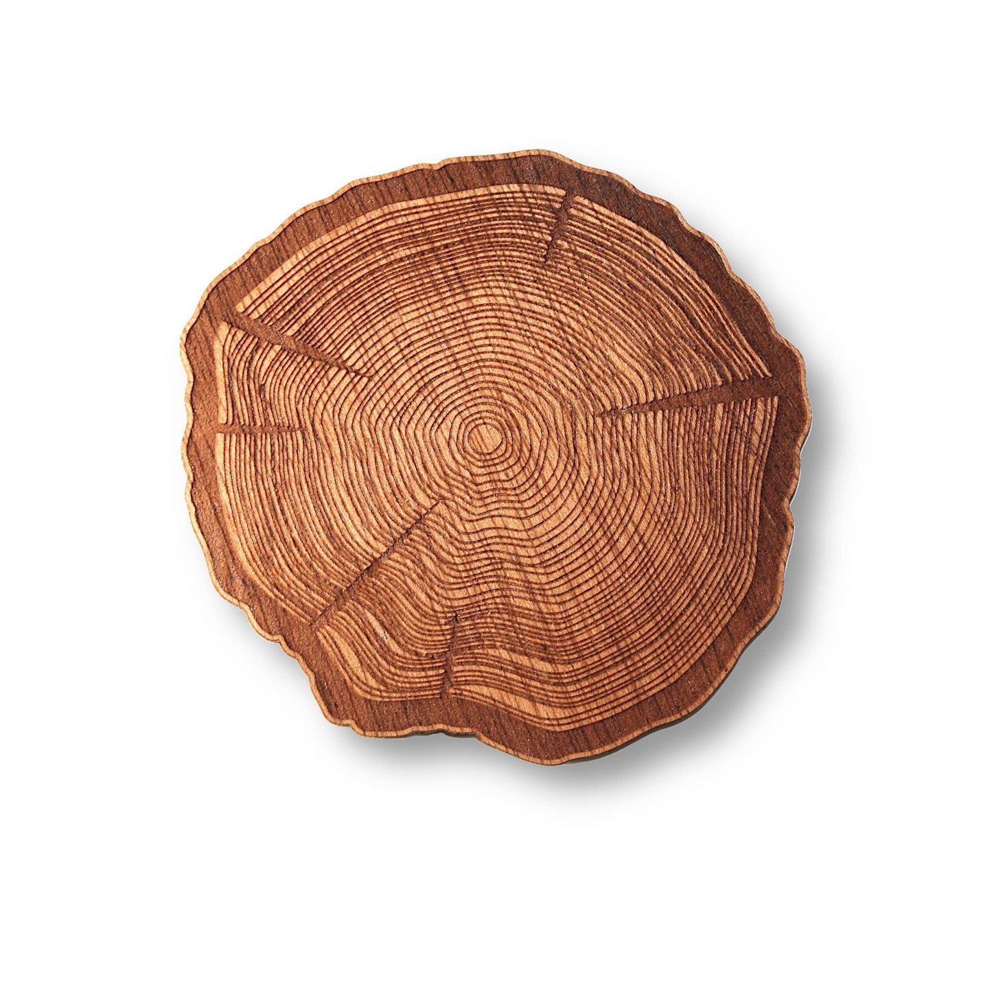Tree Stump Wood Coasters | 4-Pack by WUDN Handcrafted