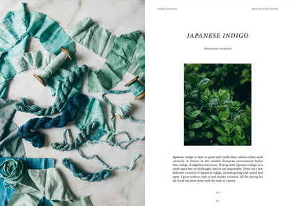 Crafts & Knitting: Dyeing Naturally