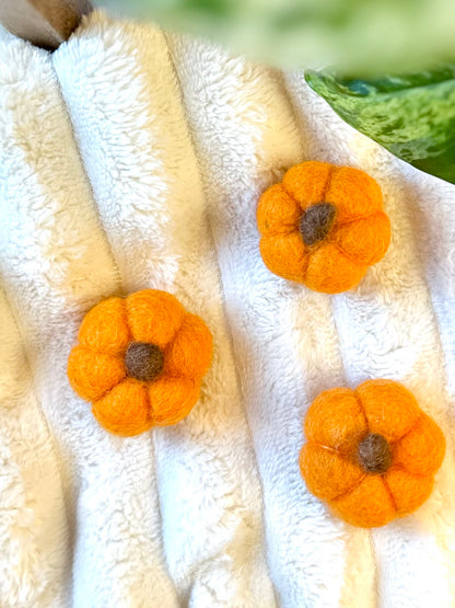 Pumpkin Magnet by Little Fish Workshop