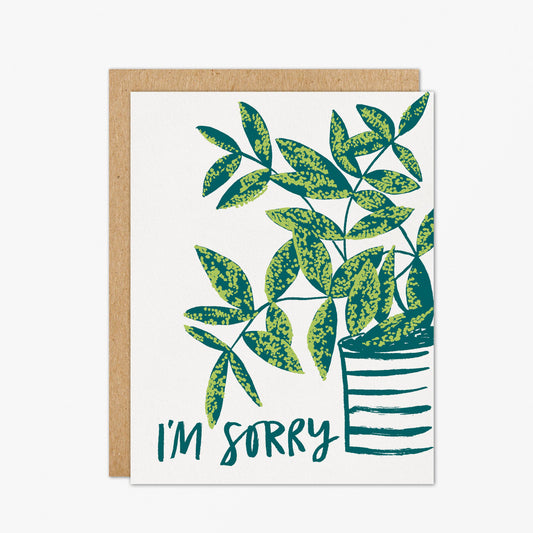 I'm Sorry Card by March Party Goods