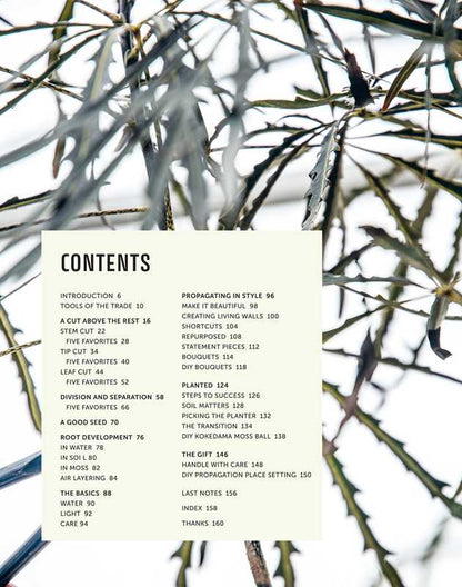 Propagation Handbook by Hilton Carter