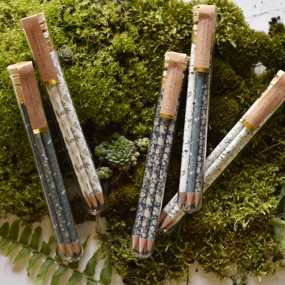 Garden Mix Pencil Terrarium, Set of 5 Pencils by June & December