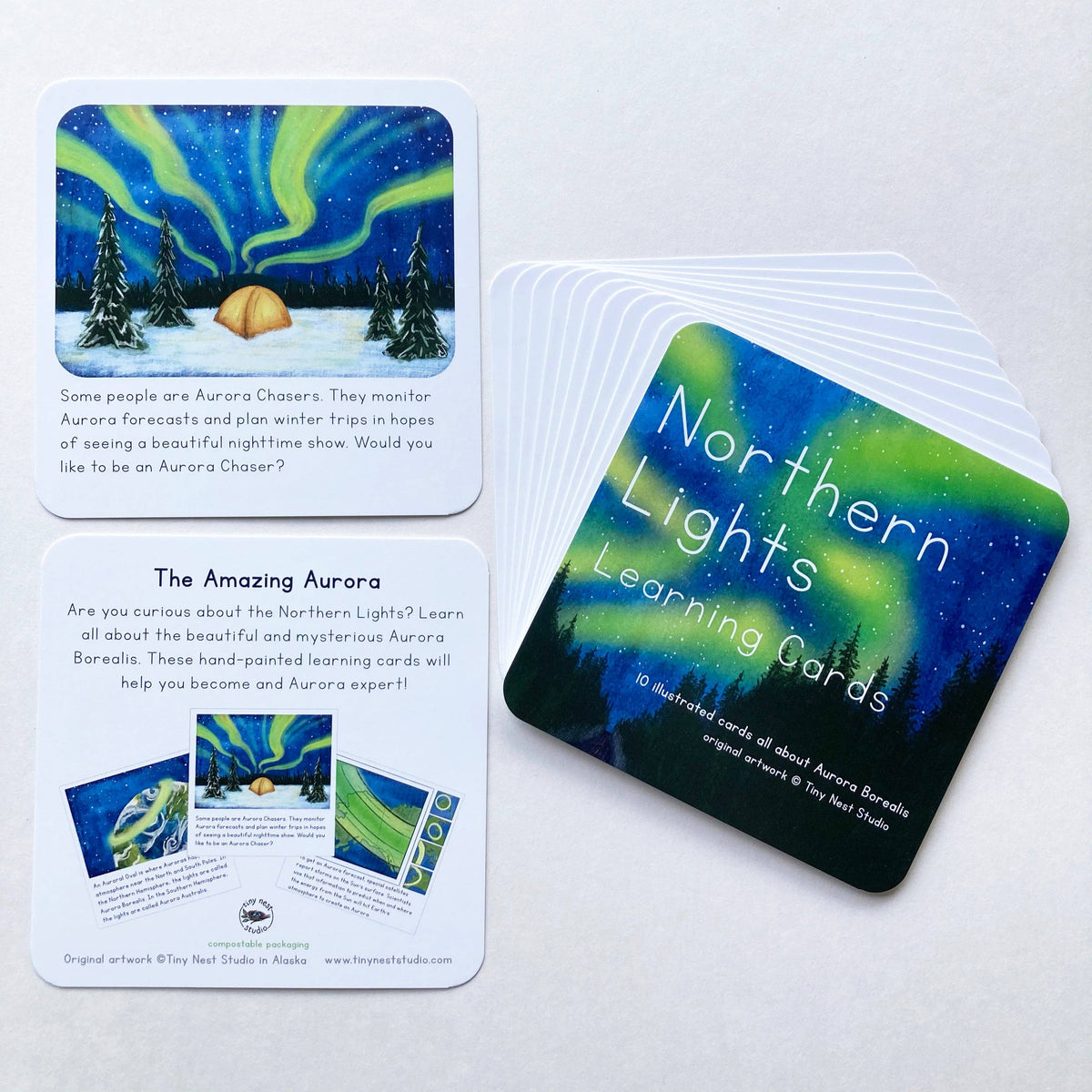 Northern Lights Learning Cards by Tiny Nest Studio