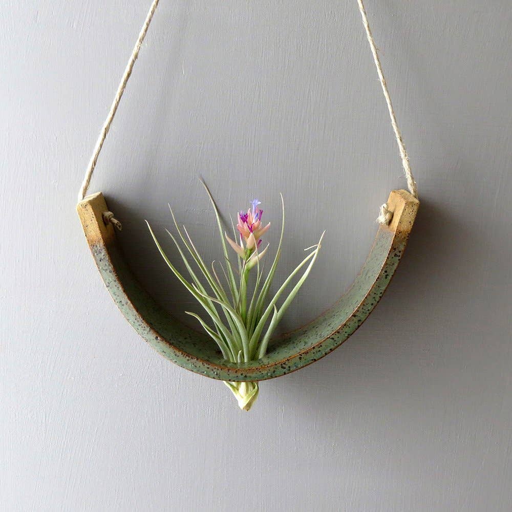 Hanging Air Plant Cradle | Large | Gunmetal Green by Mudpuppy