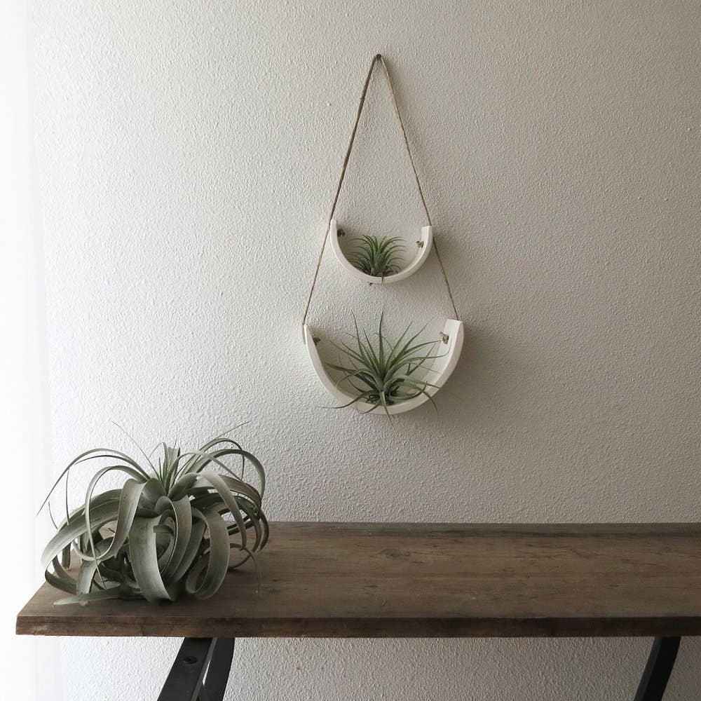 Hanging Air Plant Cradle | White Earthenware by Mudpuppy