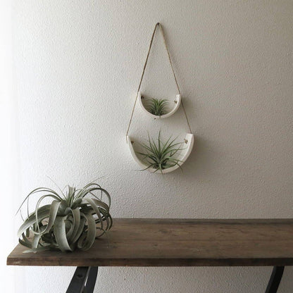 Hanging Air Plant Cradle | White Earthenware by Mudpuppy