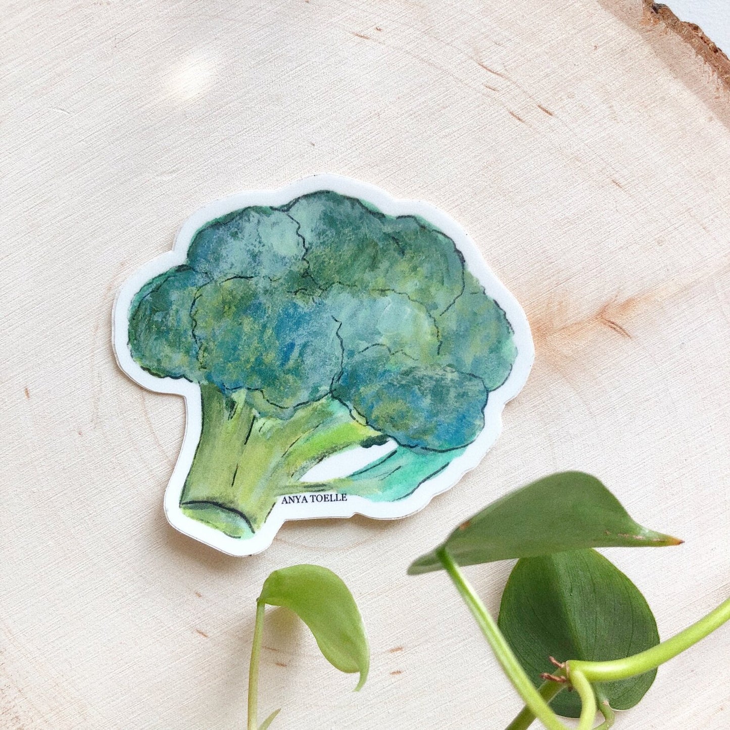 Broccoli Sticker by Anya Toelle