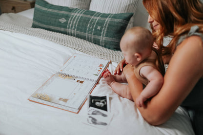 Teddy Bears Picnic Baby Memory Book by Lucy Darling