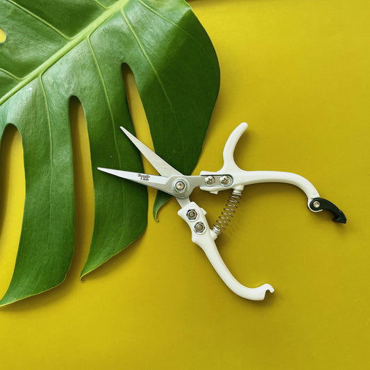 Pruning Shears | White by Jungle Club