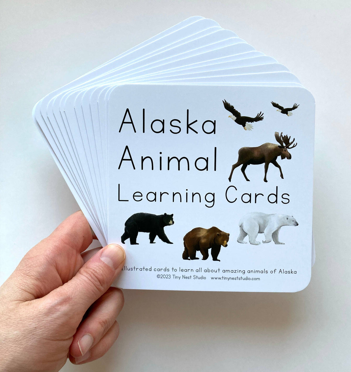 Alaska Animal Learning Cards by Tiny Nest Studio
