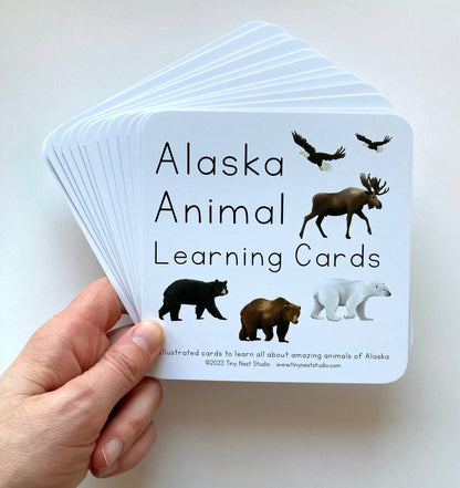 Alaska Animal Learning Cards by Tiny Nest Studio