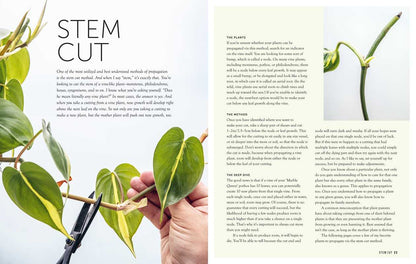 Propagation Handbook by Hilton Carter