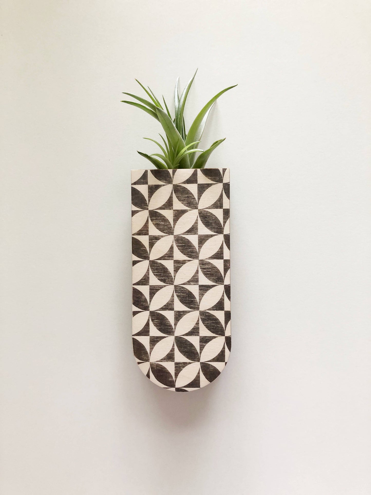 Petals Skinny Pocket Wall Planter Vase by Stacy Wong