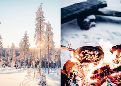 Food in the Wild: Recipes for Foraged Berries, Mushrooms & Herbs
