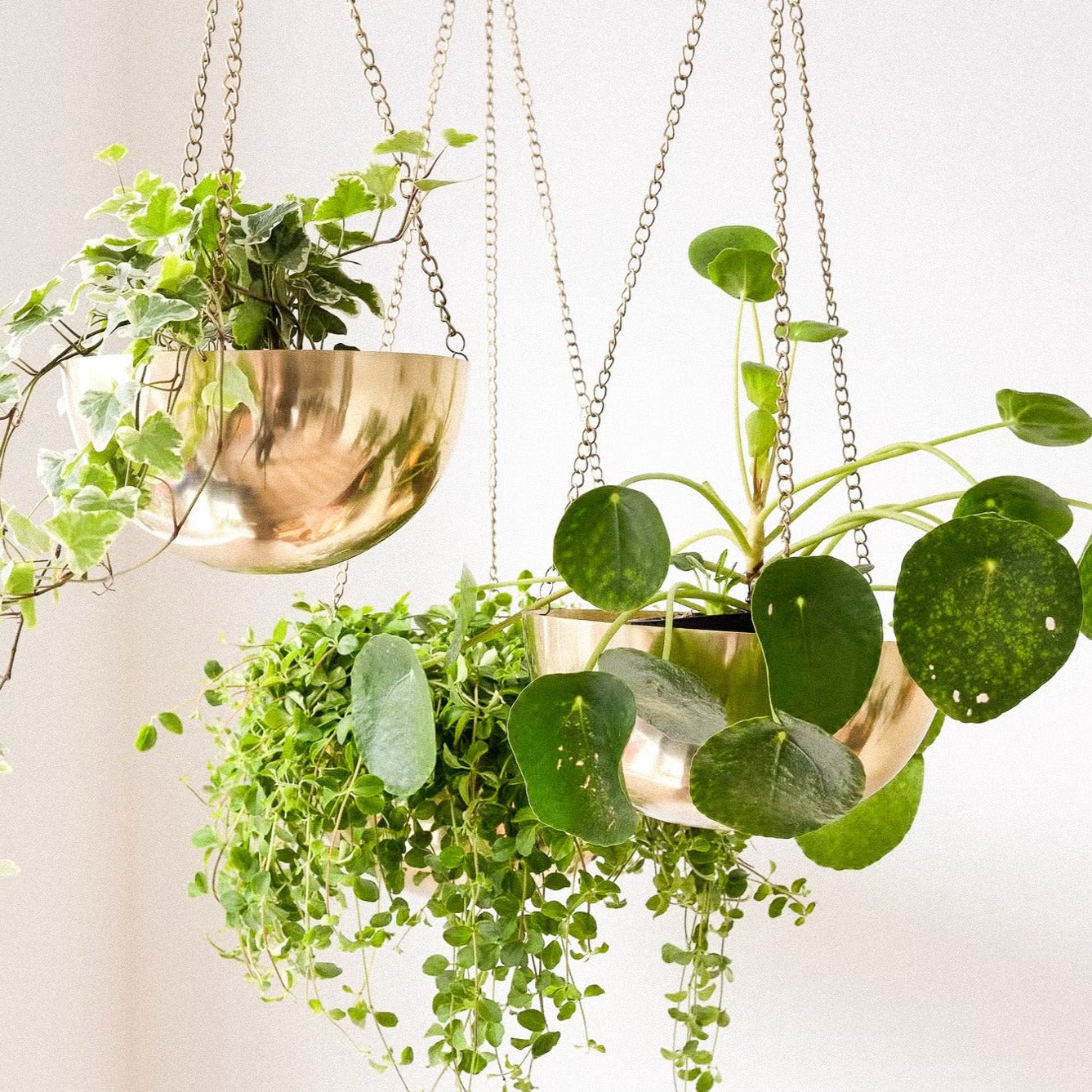 Gold Hanging Planter