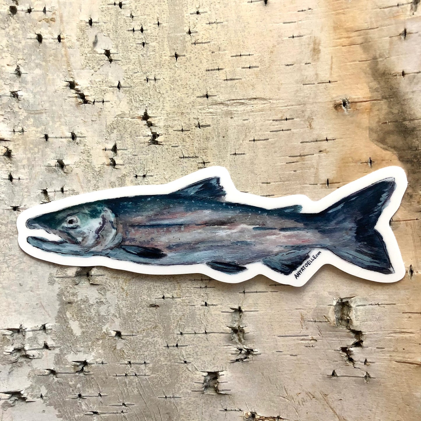 Fish Sticker by Anya Toelle