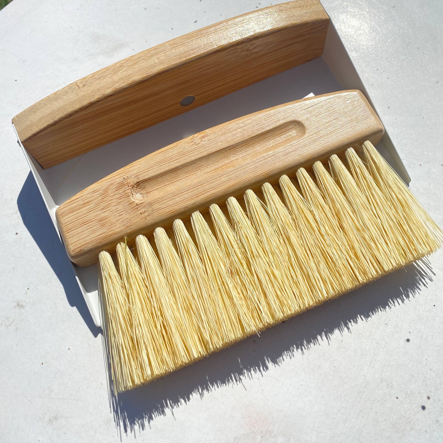 Dust Pan with Bamboo Brush