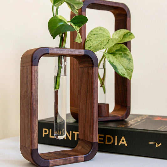 Hollow Plant Propagator by Breck + Fox