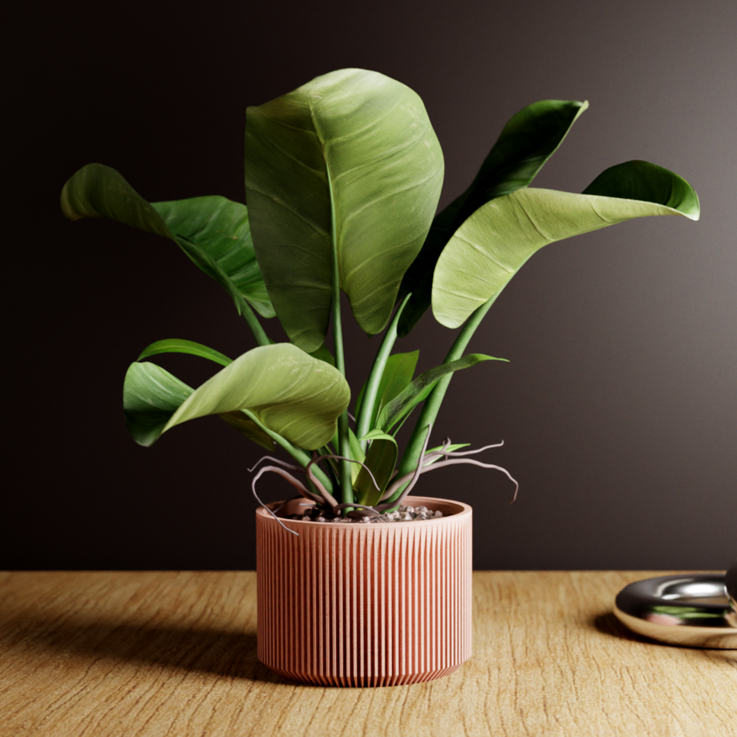 Sakura Planter 6" in Terracotta | Modernized Pottery