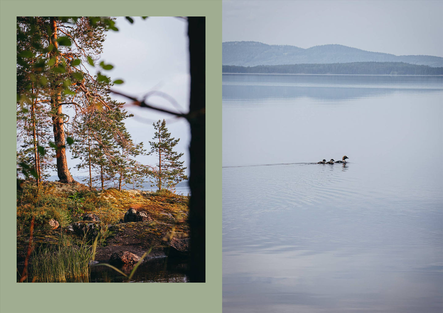 Four Seasons of Cabin Cooking