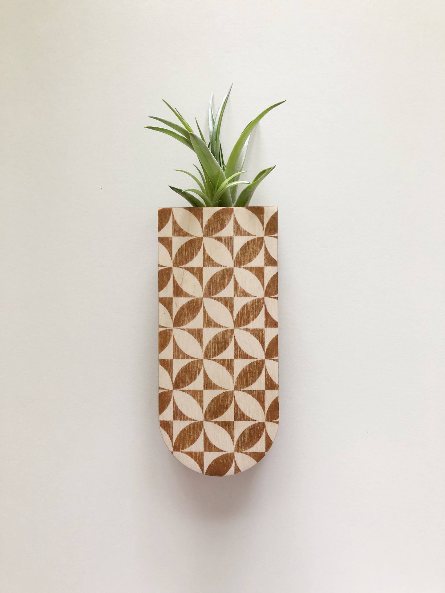 Petals Skinny Pocket Wall Planter Vase by Stacy Wong