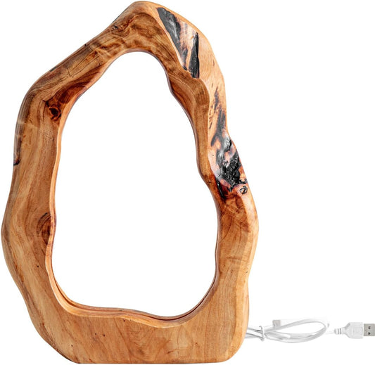 Tree Ring Dimmable Desk Lamp by Moderny