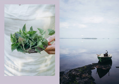 Four Seasons of Cabin Cooking