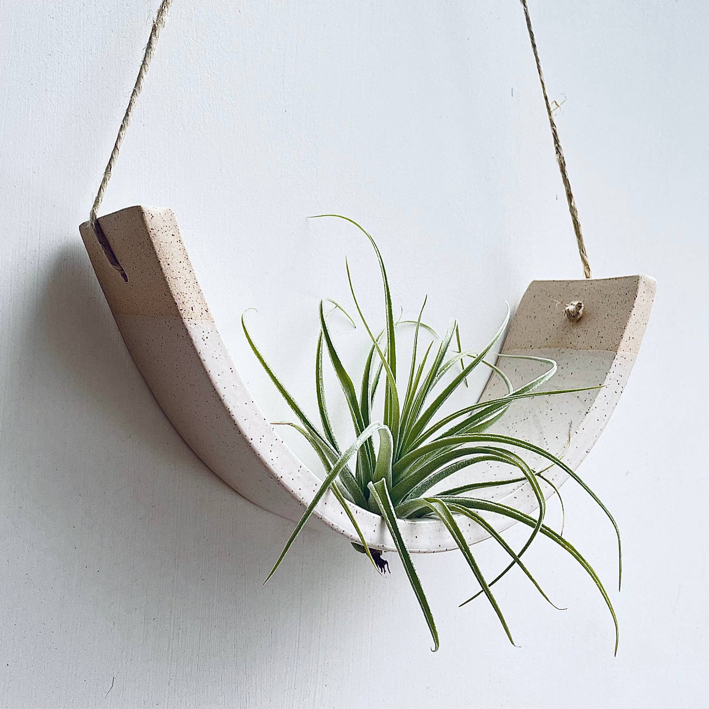 Hanging Air Plant Cradle | Large | White Speckled Gloss by Mudpuppy