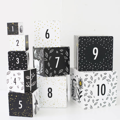 Nesting Blocks  by Wee Gallery