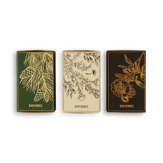 Botanical Long Stem Matches by Barebones