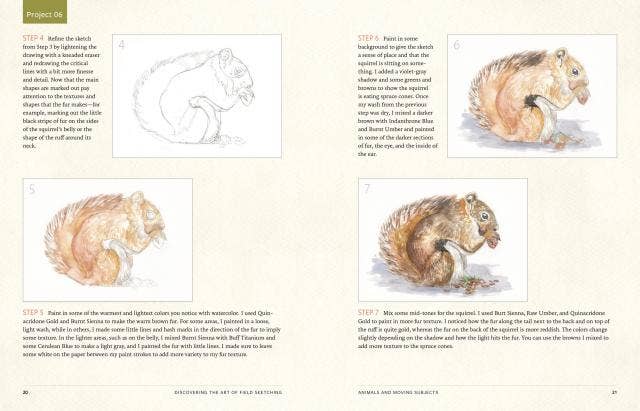 Discover the Art of Field Sketching